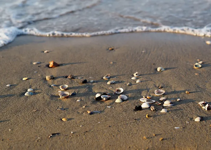 Cozy 200mt From The Apartment